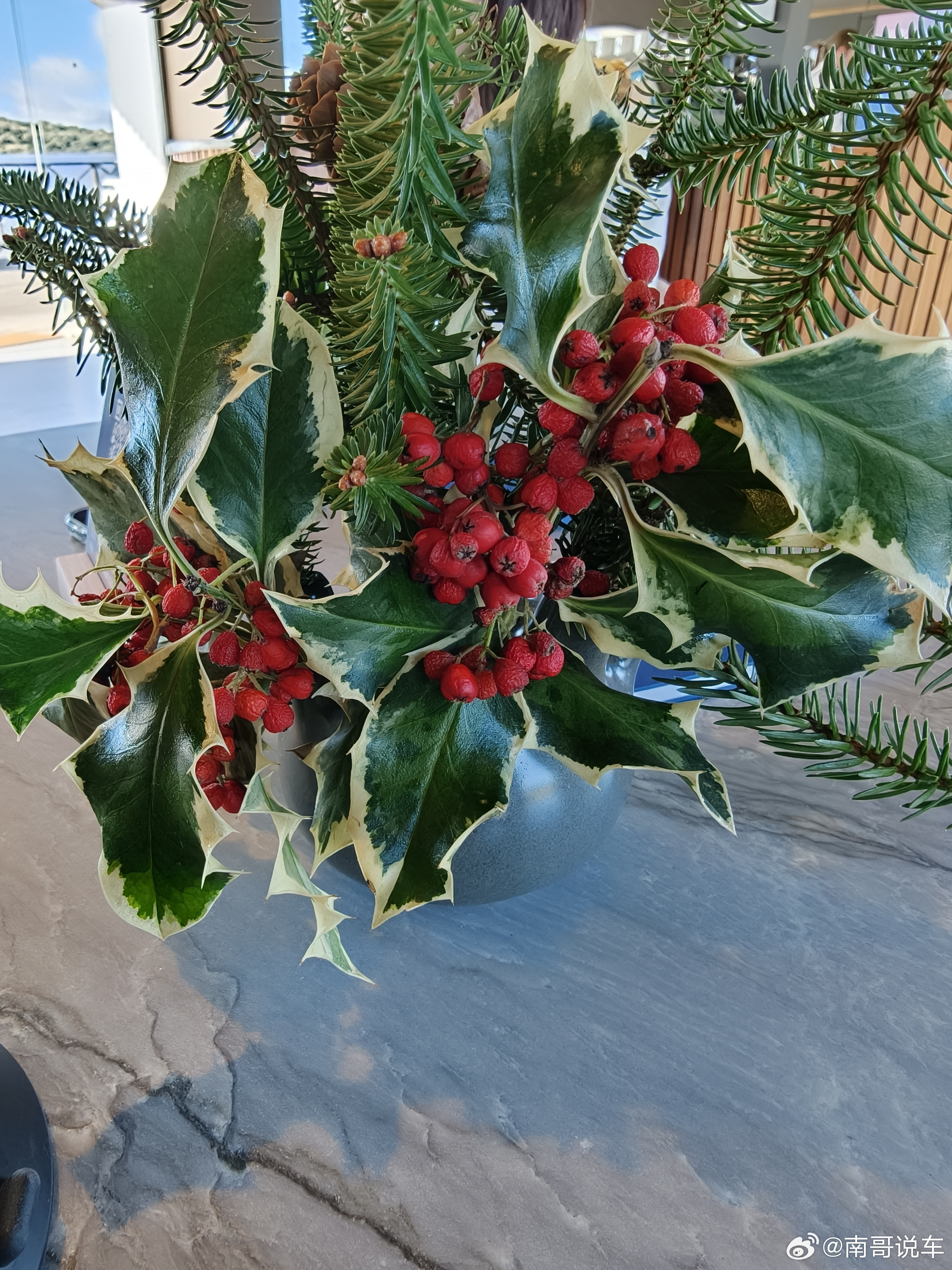 兄弟们，这是啥花。好看