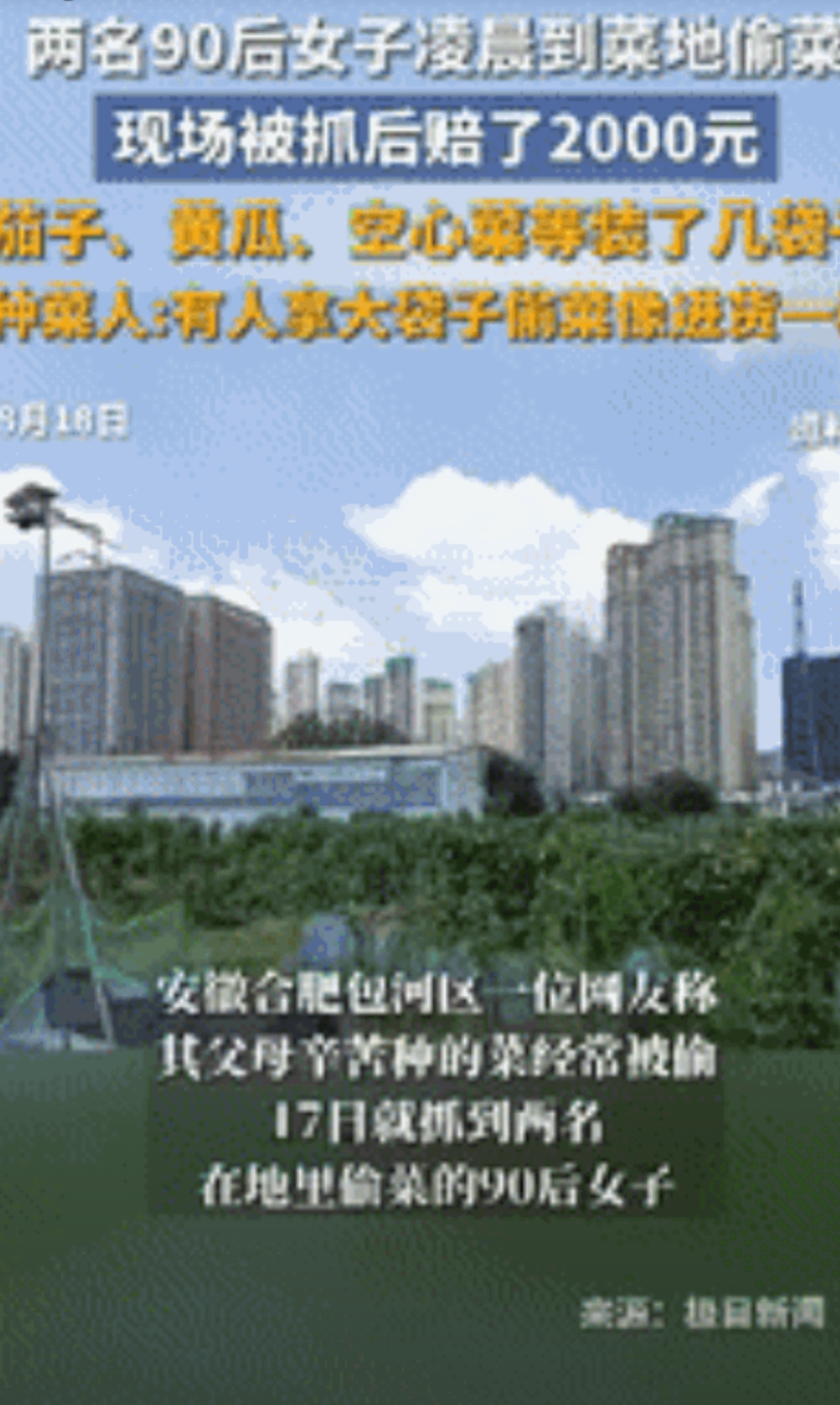 “缺德冒烟了！”8月19日，安徽合肥，2女子凌晨不睡觉，跑到别人家地里偷茄子、黄