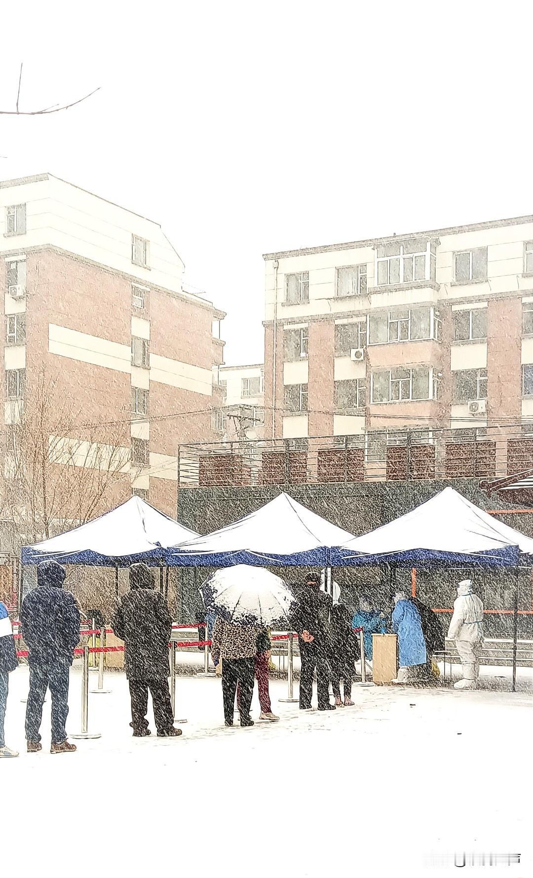 如果没有互联网。我们真难以想象有些人会愚昧到什么程度！如果他们不张嘴，还则罢了。