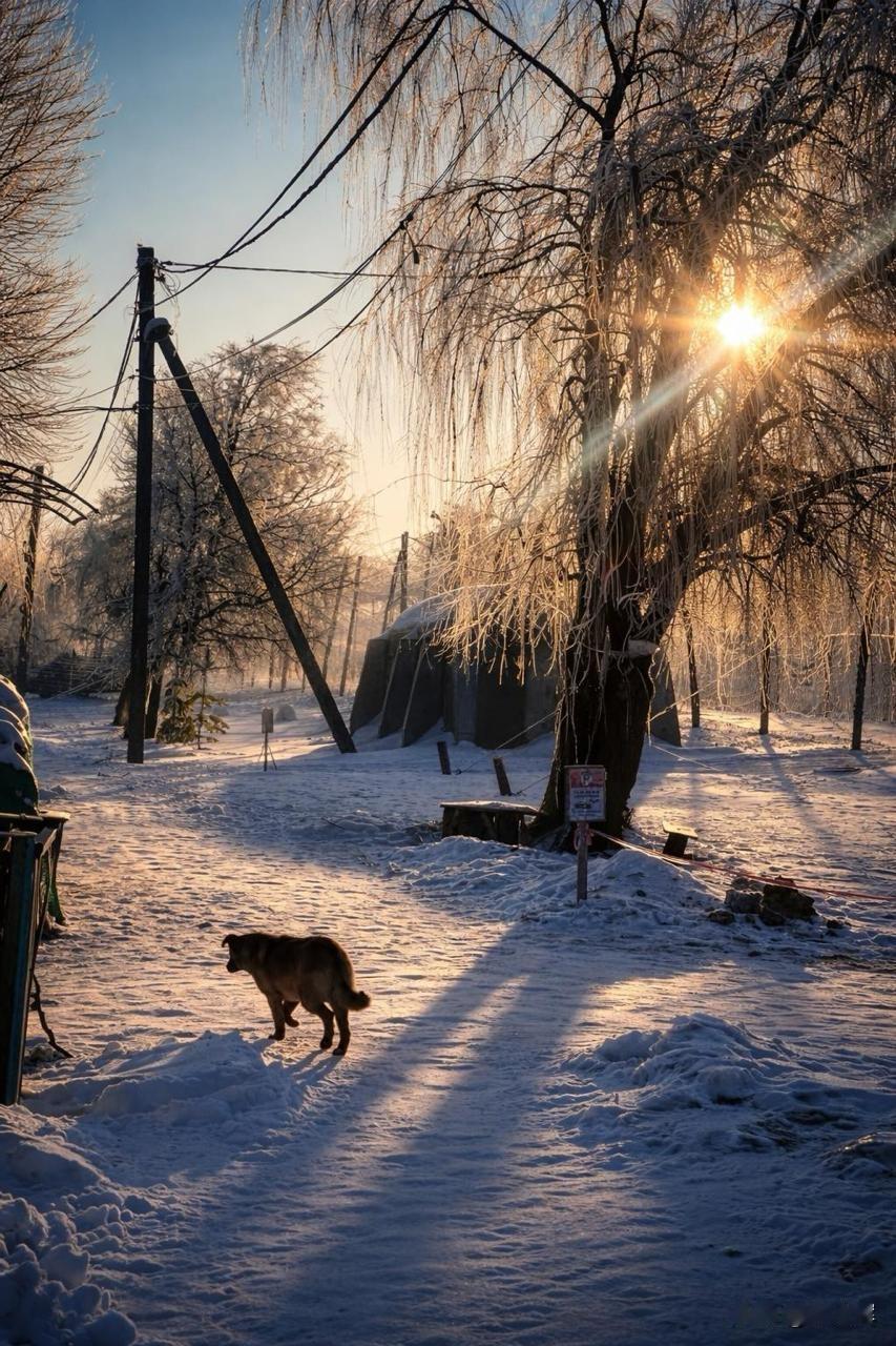 俄罗斯东部群称已深入乌军防线纵深2月14日，俄军各集群新闻中心发布通报，东
