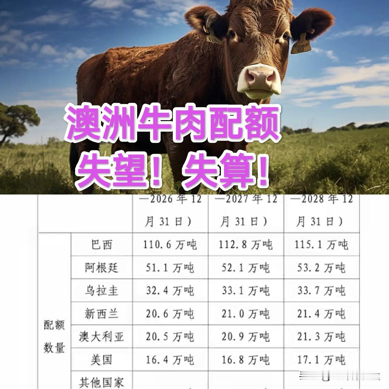 澳大利亚屁股决定大脑了，后悔：出口牛肉失算！澳大利亚在年底最后一天收了中方