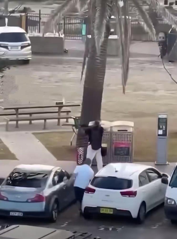 穿白衣的果然厉害！发生在澳大利亚邦迪海滩的袭击事件中，一位43岁的水果店店主