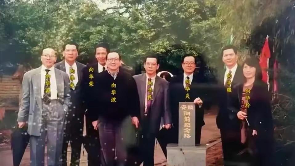 都说新义安“八贤王”相貌威猛，能一拳放倒一头牛。错了。他最致命的东西，从不在