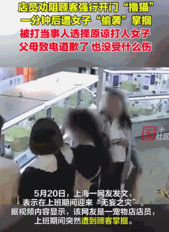 “得饶人处且饶人！”5月20日，上海一宠物店店员在工作时，突然被一女子狠狠扇了一