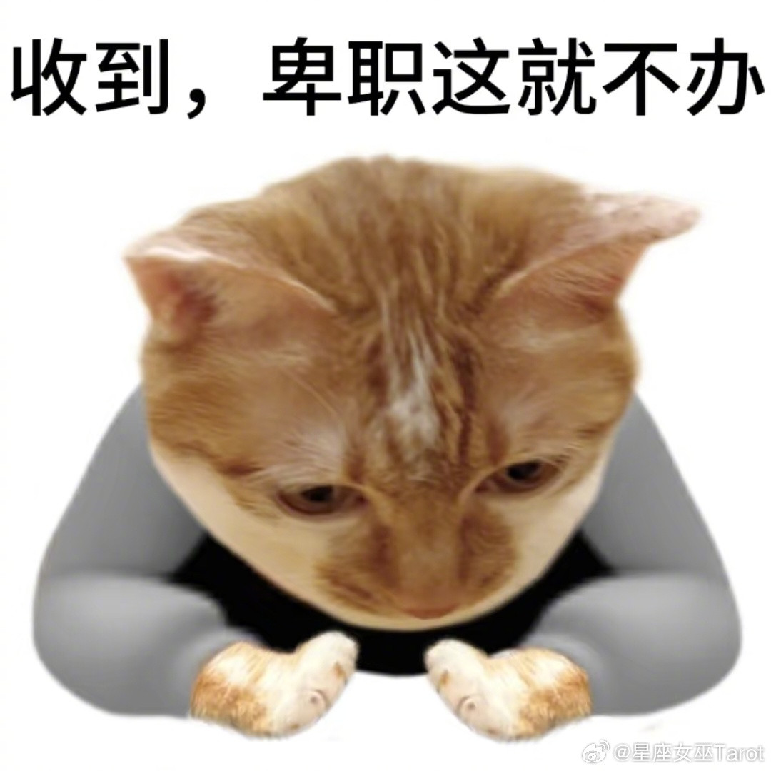 十二星座事业运排行榜：第一名摩羯：不只运气好，还熬走了所有对手第二名处女：细节控