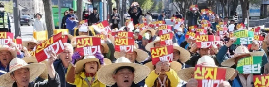 韩国人抵制中国白菜闹剧收场哎呀，韩国人年初还喊着“宁愿饿