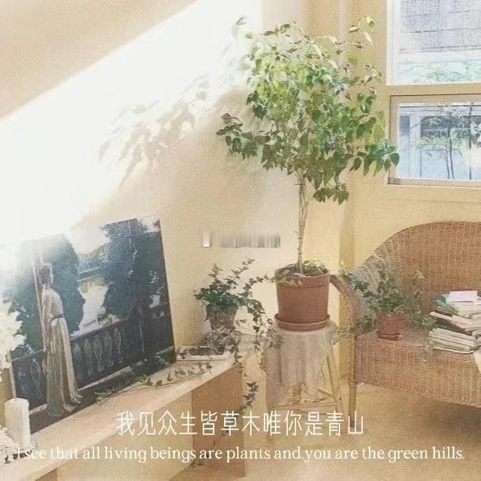白羊座的小伙伴经常是非常阴晴不定的，内心反复，好的时候，能让人感受到春天的气息，