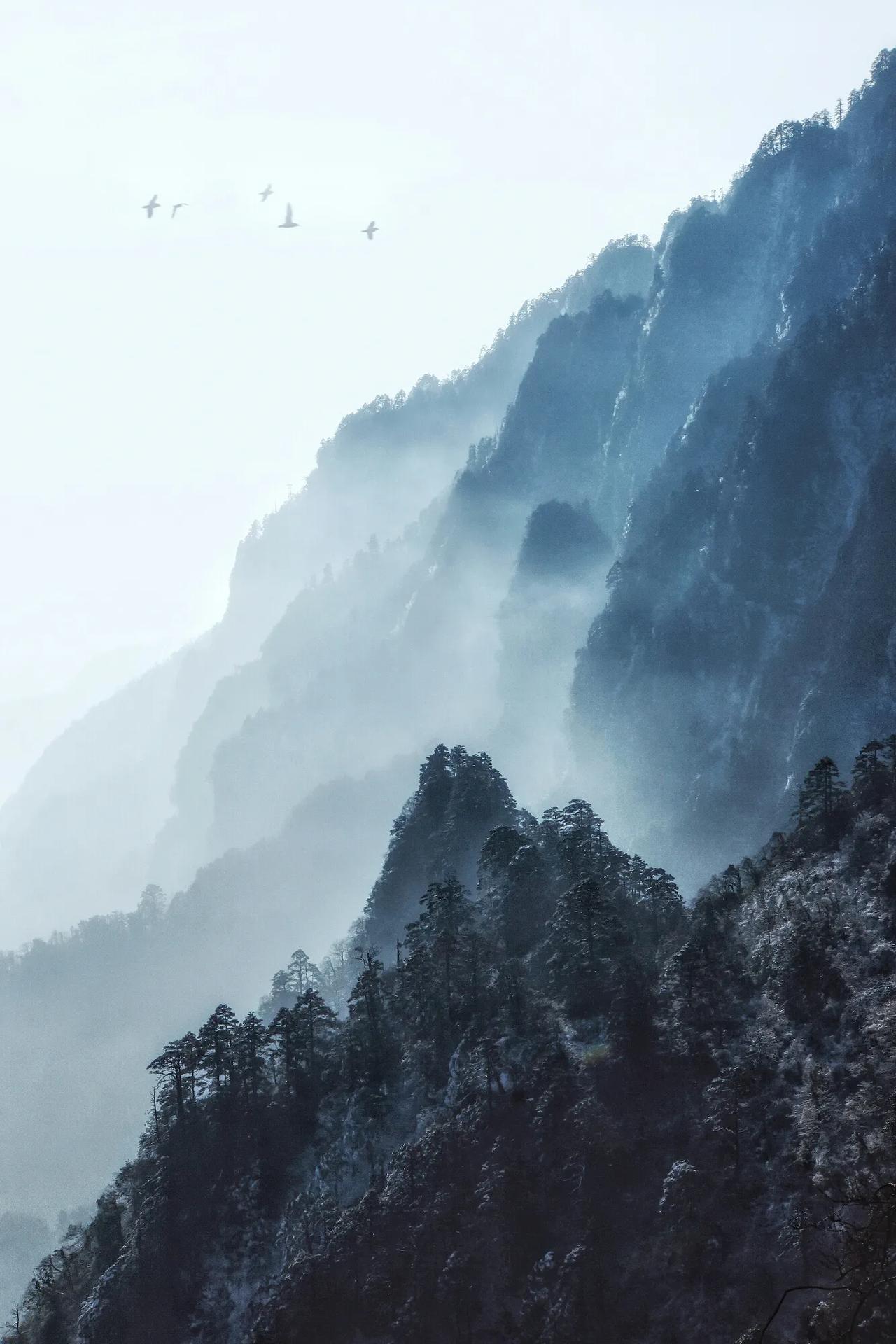 告诉大家一个好消息！从2026年1月1日起，峨眉山全山所有寺院都永久免收“香花券