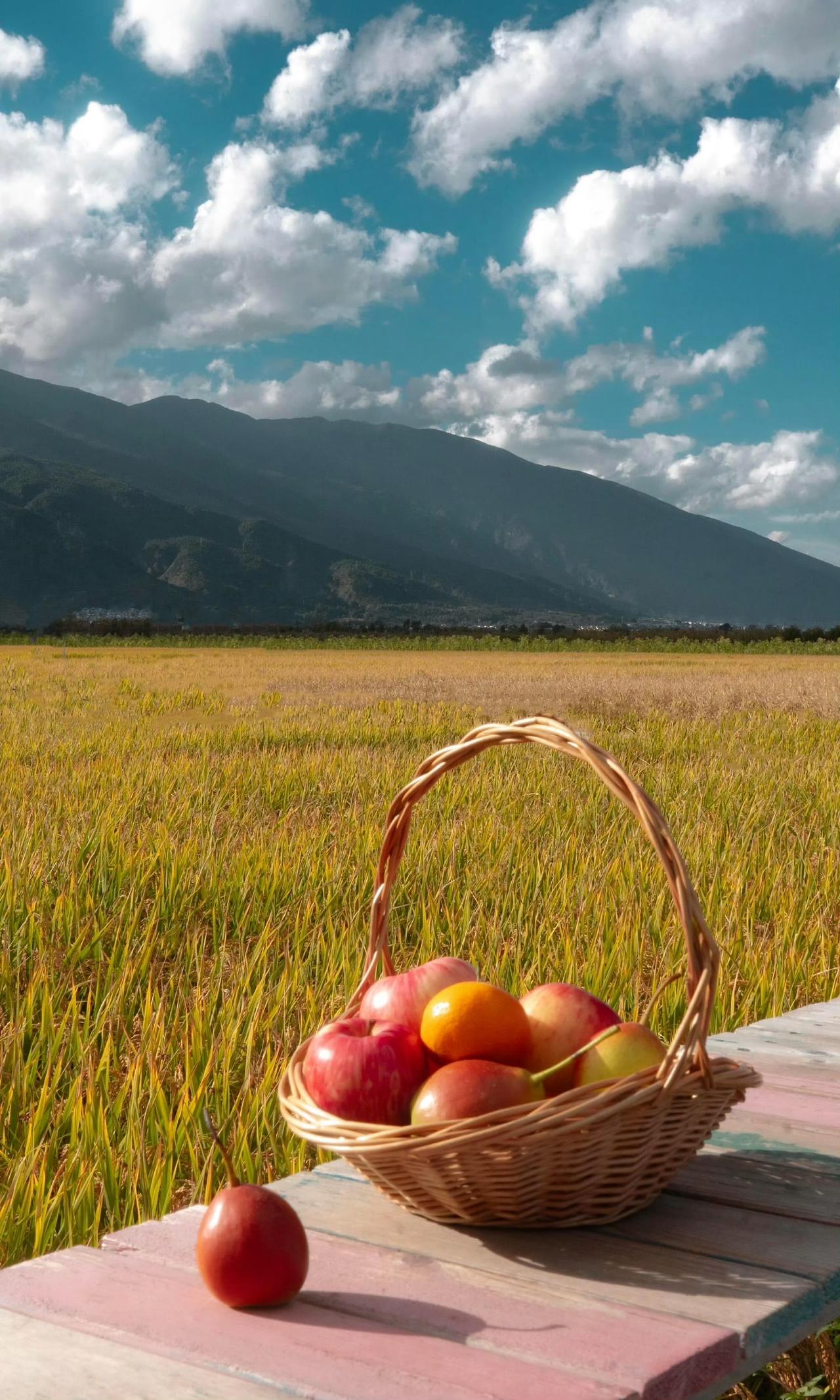 “云南的秋天是个形容词”