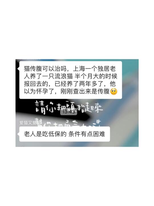 猫咪传腹还用救吗