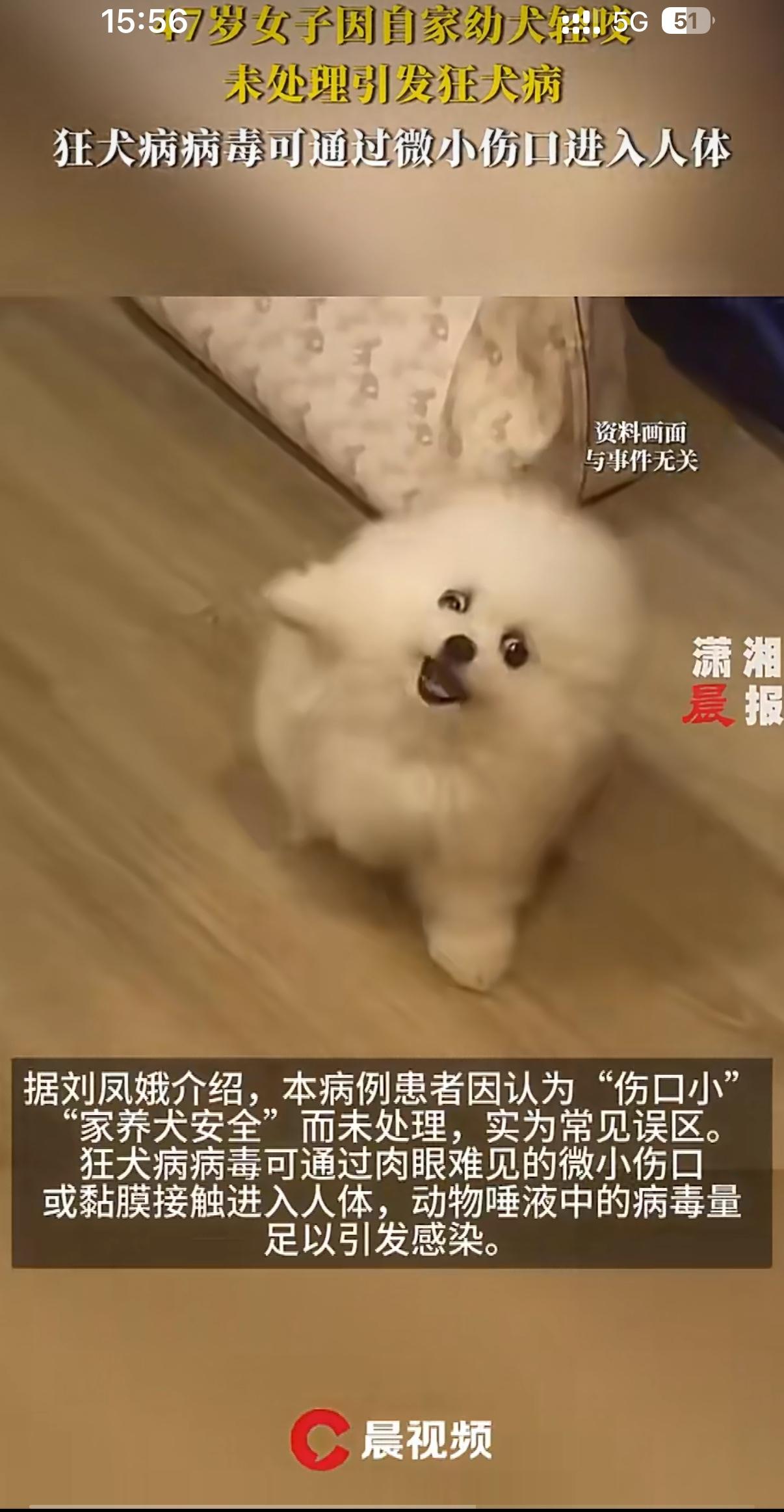长沙那位47岁大姐就因为被自家养的小奶狗轻轻咬了下手指，伤口不大也没流血，她想着