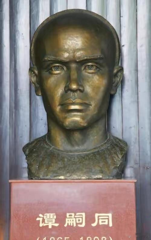 谭嗣同的父亲担任封疆大吏之职。谭嗣同有两位学生，分别为蔡锷和杨昌济。其中，蔡锷的