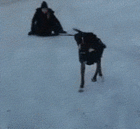 爆笑GIF: 你能别对我笑得那么甜嘛? 我心慌慌