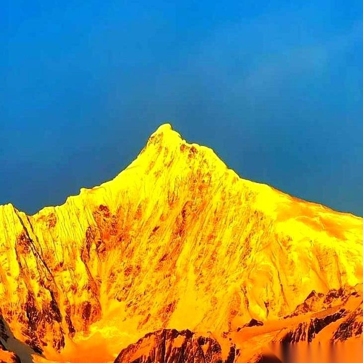 别再盯着黄金了。那玩意儿的价值，说白了，就是全世界的“不安全感指数”。全世界