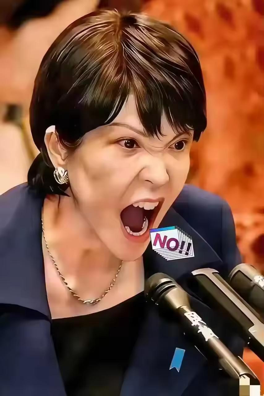 美日传来新消息！3月19日，日美签署协议，对稀土、锂、镓加征关税，妄图围堵东