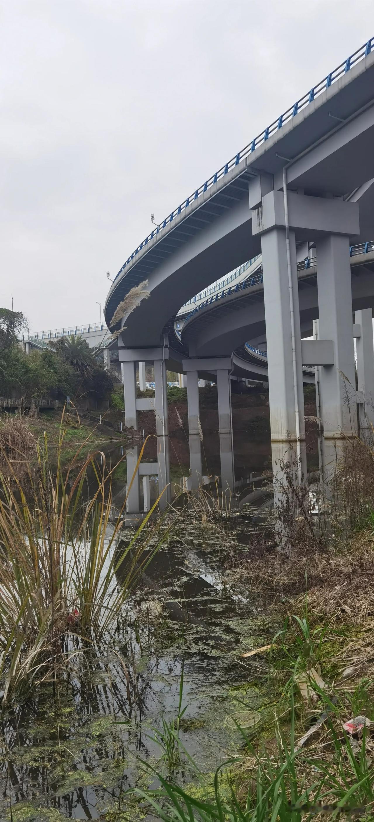 重庆野水库钓鱼。名字很野的，这里土地名就叫野水沟。好听的名字叫团结水库。昨天听说