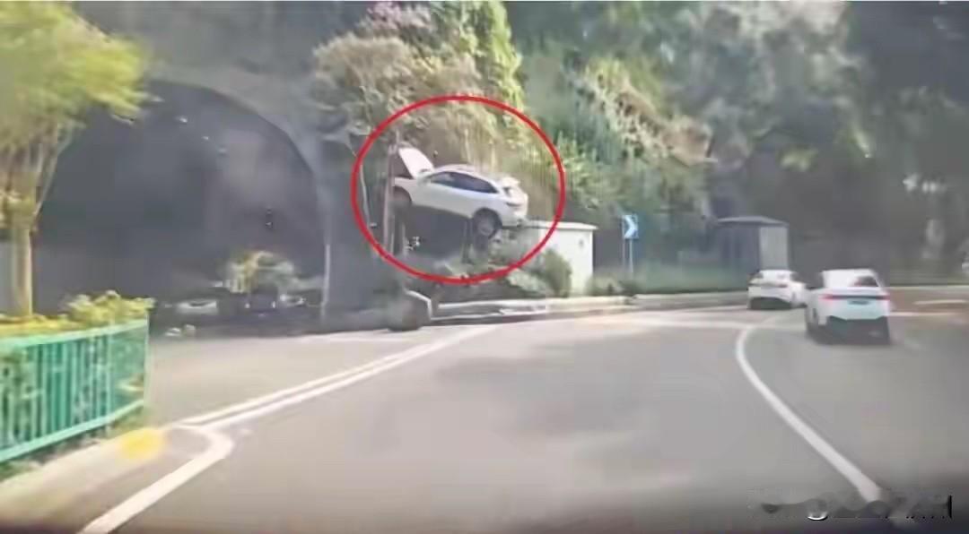 重庆一司机，开车经过隧道口，突然看见前方SUV，腾空“飞”到了树上……这