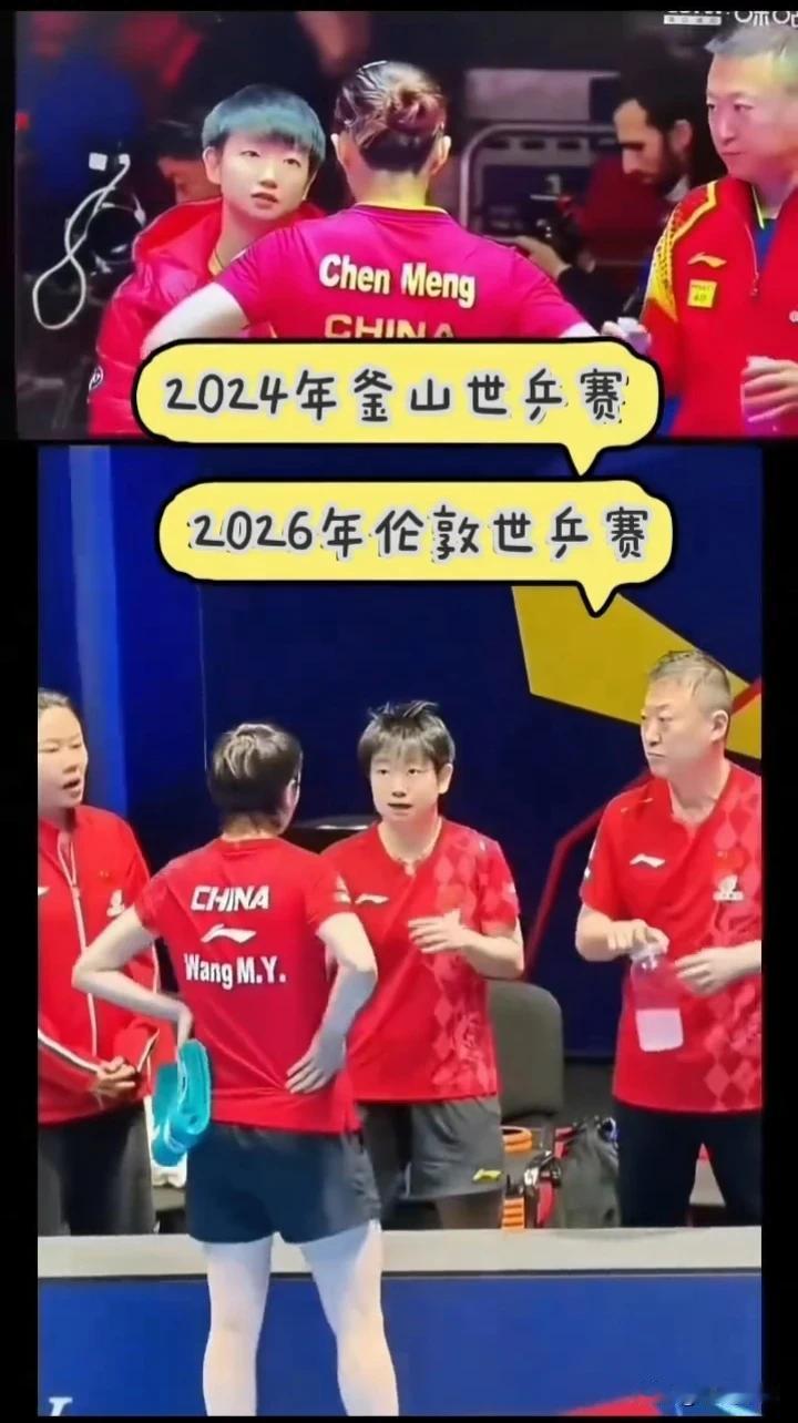 历史总是惊人的相似！2024年的陈梦，2026年的王曼昱，都是莎莎教的！20
