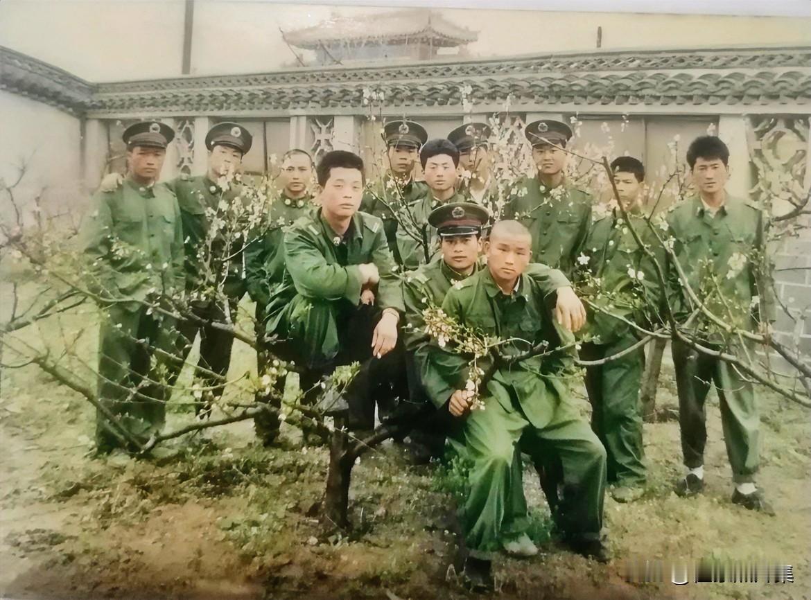 上世纪九十年代，战友合影。这些老兵那会都是些十八九岁的孩子，朝气蓬勃，但又青涩稚