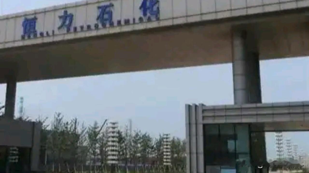 近期，恒力石化等五家中国企业因被指参与涉伊朗石油交易，被美国财政部列入“特别指定
