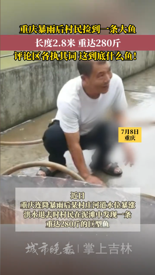 这就是命啊！”重庆，暴雨刚刚结束，就有村民在河道旁，瞅见一个黑不溜秋的东西，等他