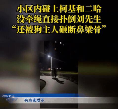 太嚣张了！重庆，男子好心提醒狗主人牵绳，结果反被抢夺手机，打了一耳光！甚至用手机