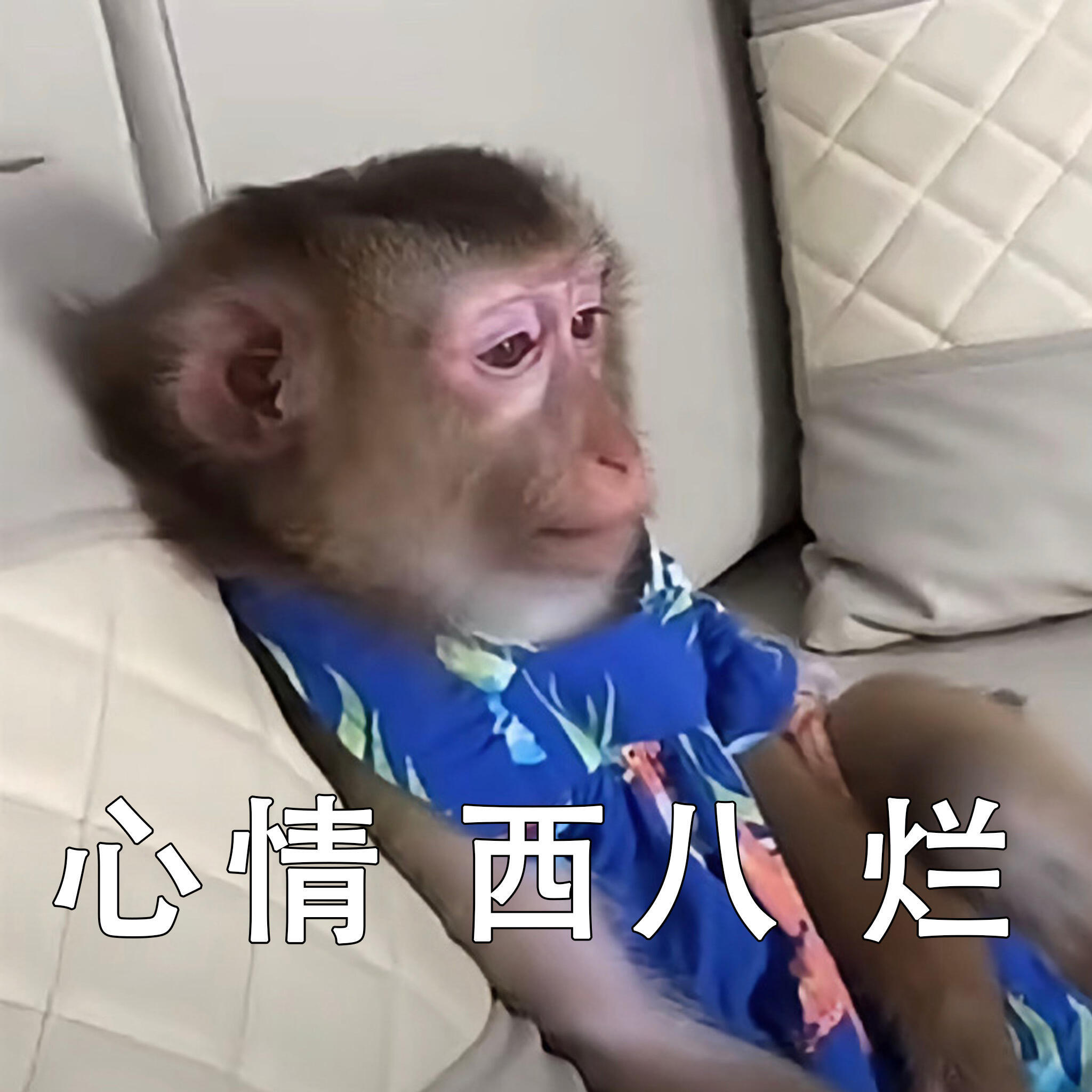 感冒、鼻塞、头痛、眼睛痛，各种难受堆一块，老天捉弄我已经不挑日子了