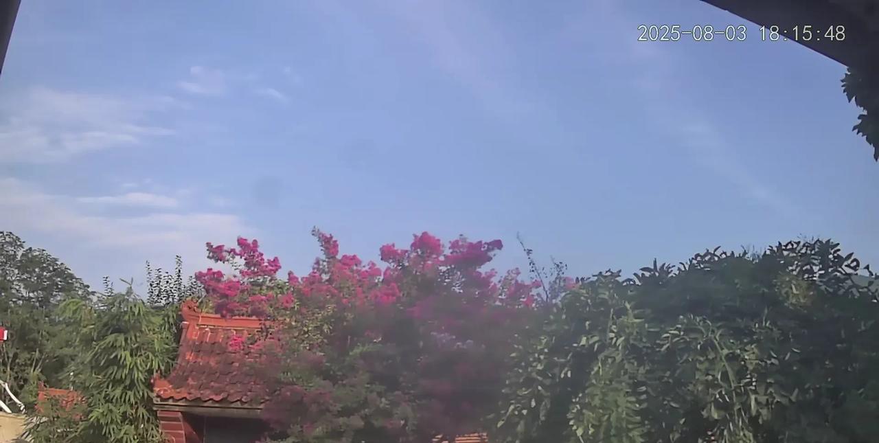 明天就要“逃离”西安回天水了！为什么要说逃离呢？来西安一个星期