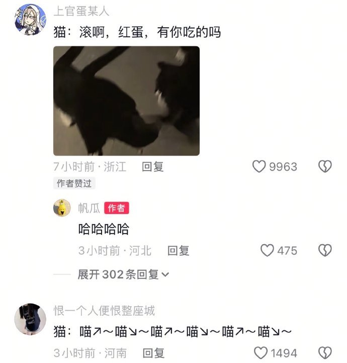 当同伴不小心吃了猫咪的猫条时​​​​