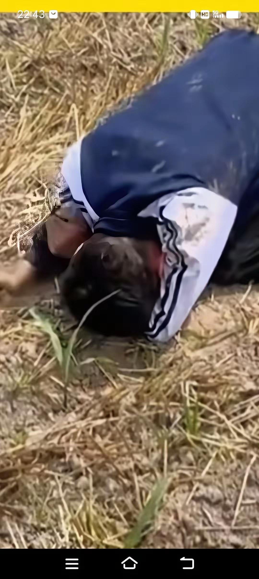 一个男孩的父母双亡，这个男孩生活在没有父母的世界里，独自生活了13年，这不