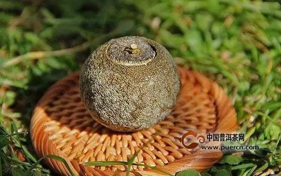 青柑普洱不适合哪些人