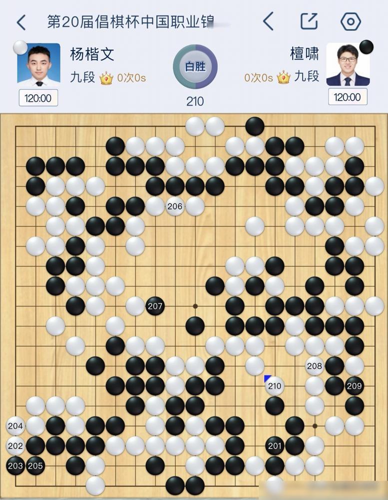 别研究柯洁了，今年围棋界有个13胜1负的狠人，刚刚把檀啸九段拉下马。你以为是