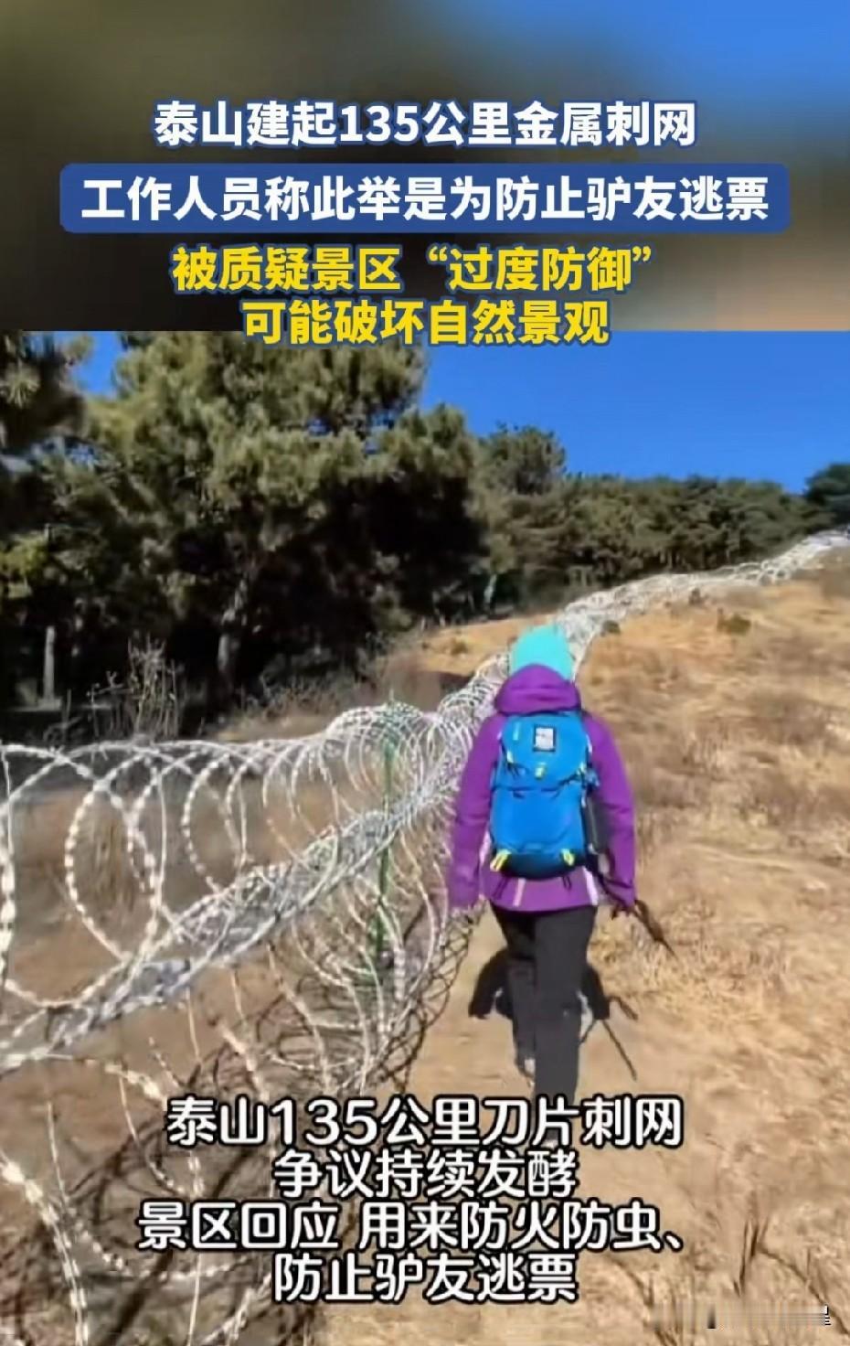 投资2000万泰山装网，文旅官方解释是为防火等原因才架设刀片刺网近日，泰山