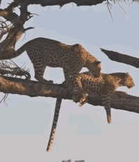 不就是不小心把你的食物弄掉了嘛？多大点事，至于嘛这样吗？