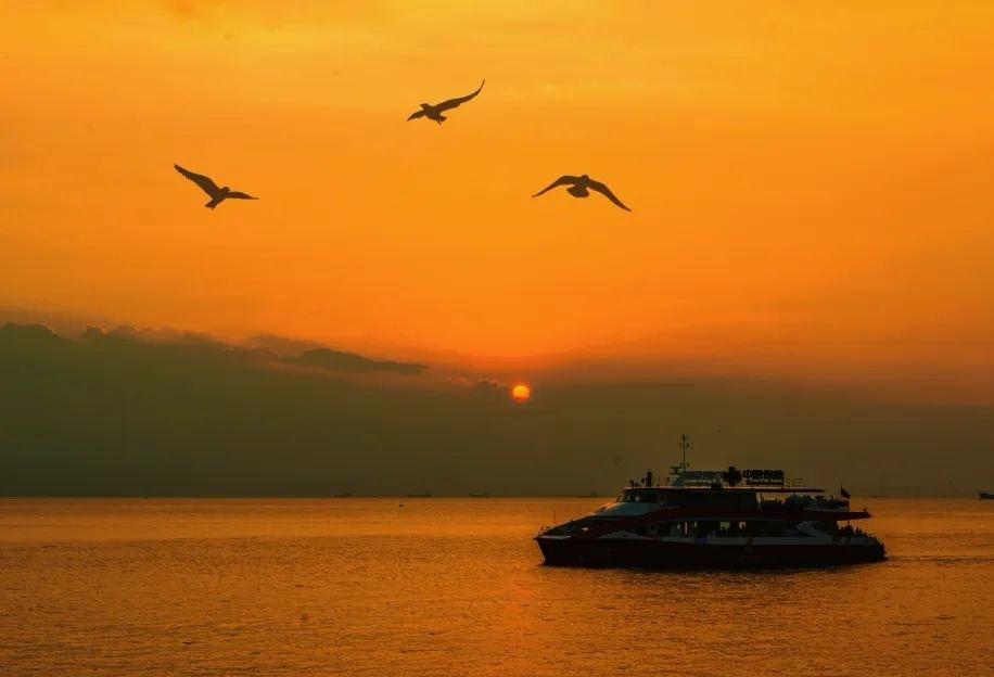 人人都有老来难人生暮年，身体机能逐渐衰退，这是我们要面临的严峻问题。身体不知