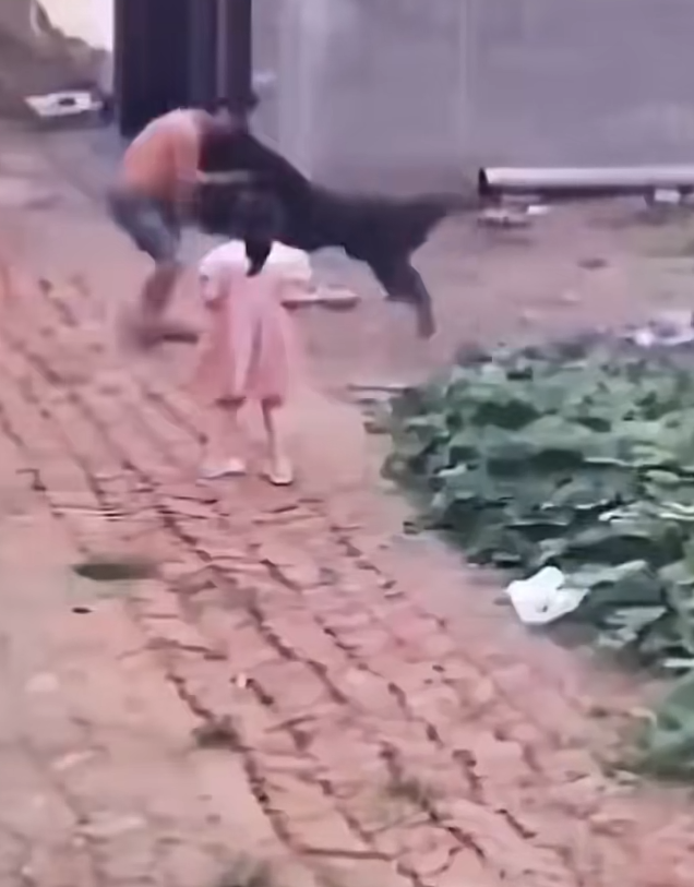 突然冲出来的流浪狗古有武松打虎，今有父爱打狗