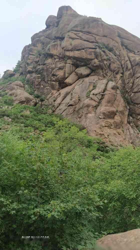 表弟截肢那天，医生从他脚上剪下来的坏死组织，放在托盘里像一摊发黑的肉泥。我表弟