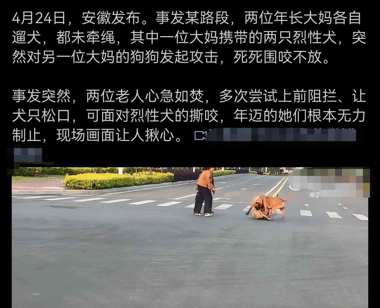 请教动保人士，像这种狗咬狗之事，该谴责谁啊？