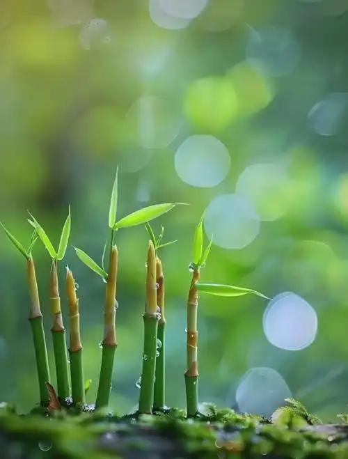 健康10要素:1、勤洗手，2、少油少盐，3、少糖少脂，4、少吃多餐，