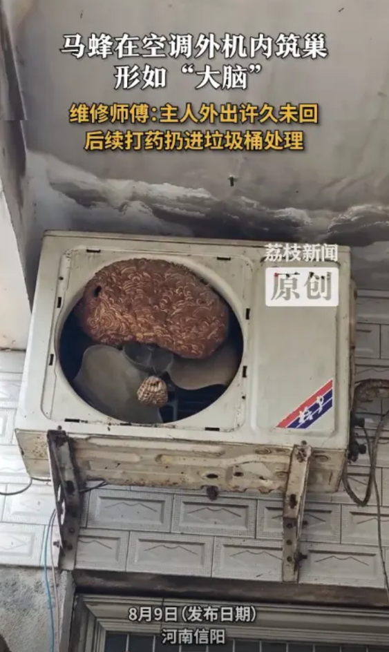 “太可怕了！”8月7日，河南信阳，一男子外出5年没回过家，到家后发现空调不好用了