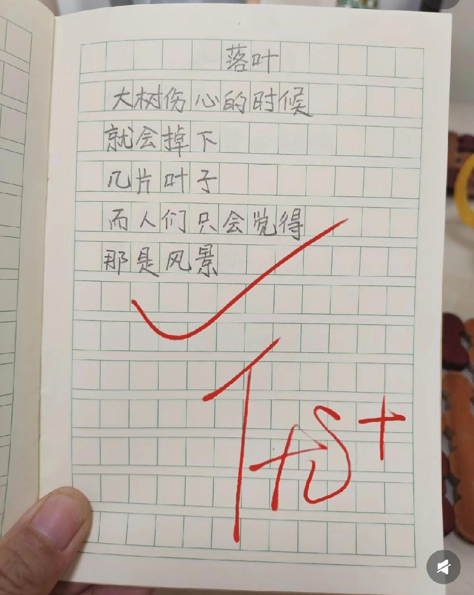 小学生写的《落叶》，看完瞬间破防了