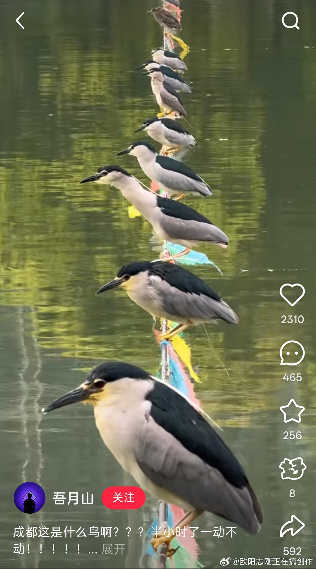 这个事情，这网友的评论，是一个非常好的素材，可以展开延伸一下，写一个相声，或者拍