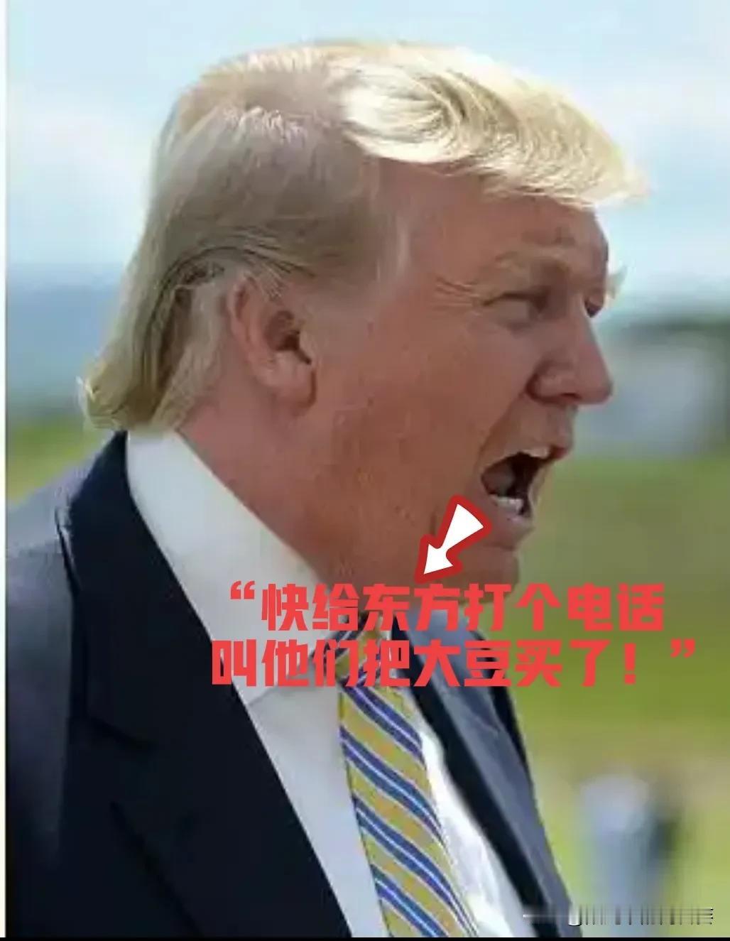 懂王这变脸速度，不去川剧团真是可惜了。当众指着财长鼻子喊：“快给东方打个