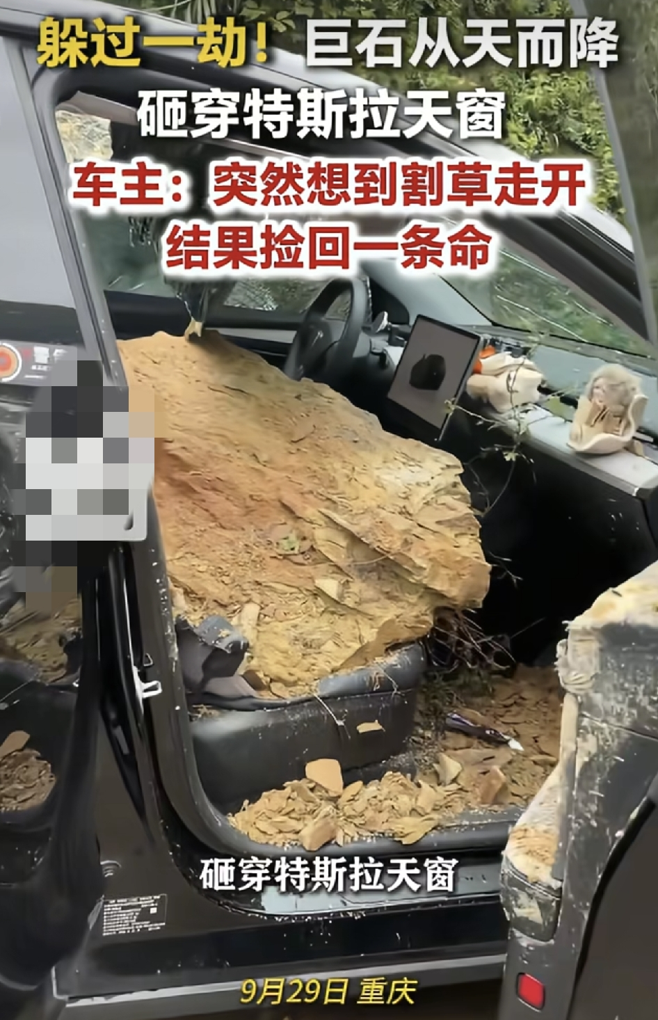🌞重庆一对情侣放假准备开车回家，途经一山坡底下，女子突然想到家里的兔子没草