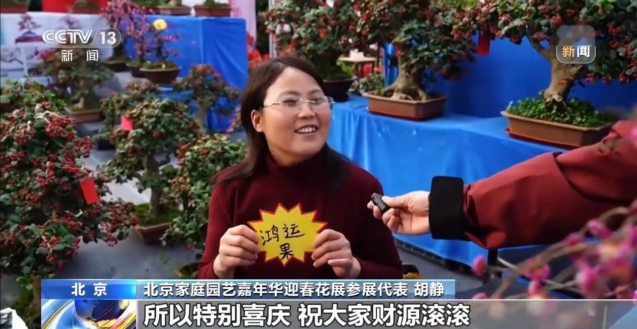 数智赋能国产花卉：年宵花市如何走出创新‘花路’