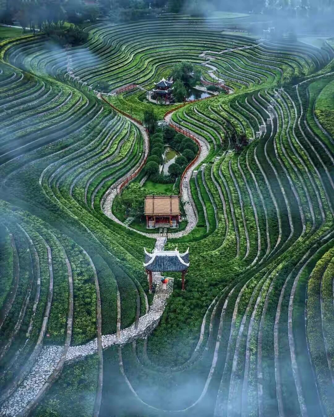 急躁，是因为经历不够。轻浮，是因为磨砺不多。心乱，是因为思路不清。压力，是因为期