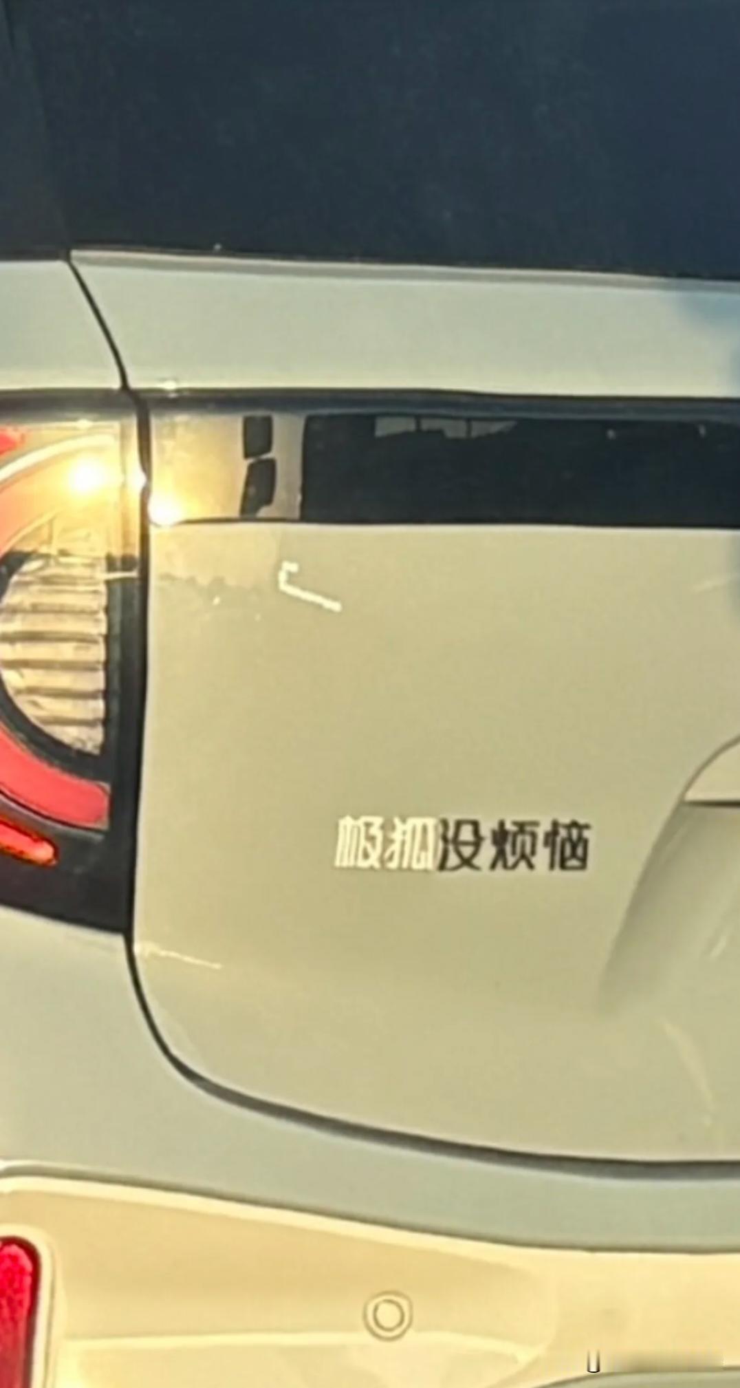 最近遇到的小可爱们