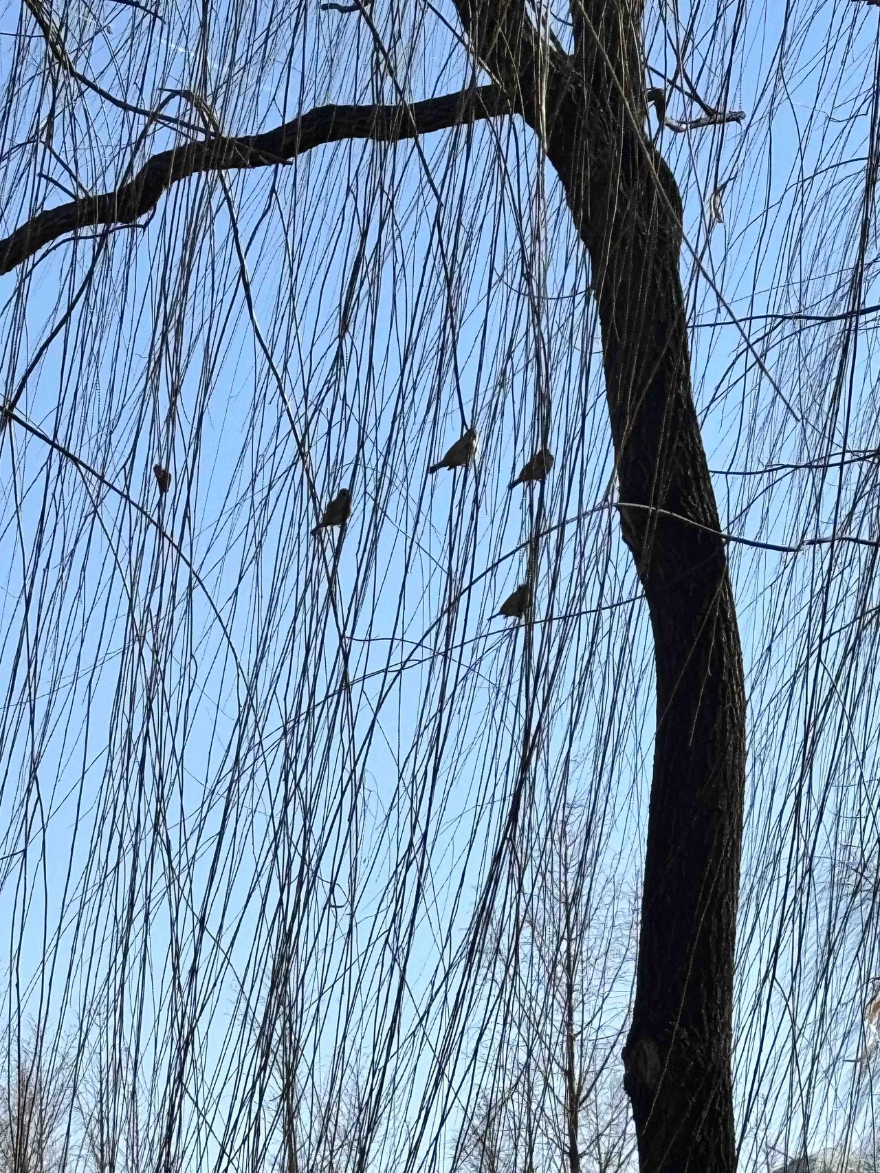 孩子学习好坏，很大程度上取决于父母。一般来说，学霸的特点是，努力+认真+爱学。学