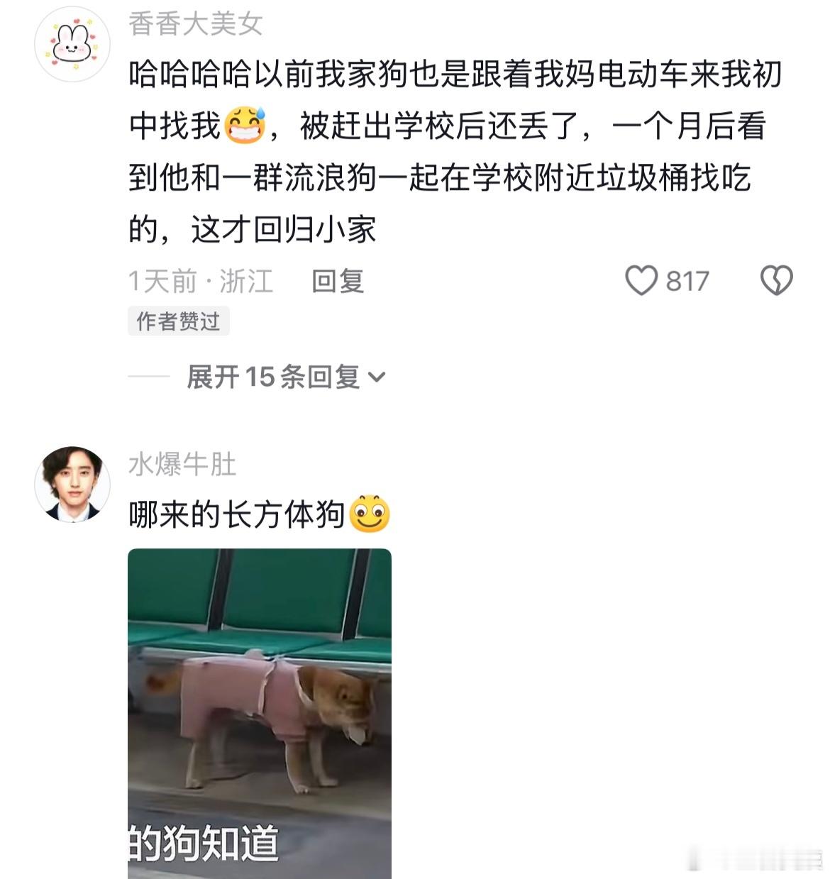 🐶：你怎么在这里当别人的🐶！！！