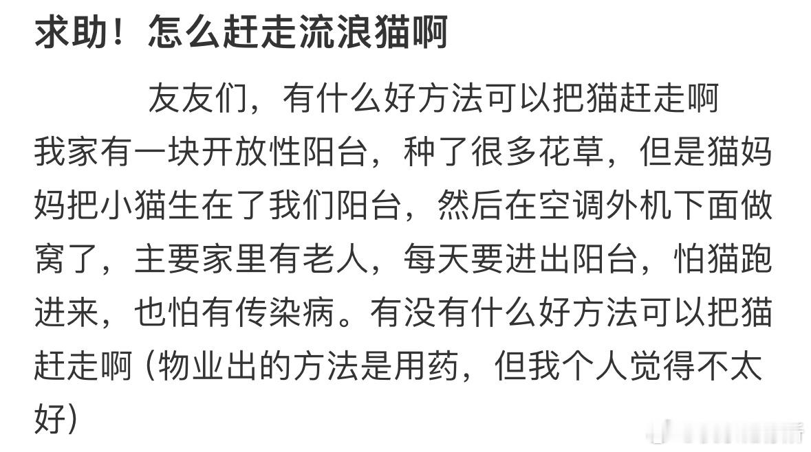 怎么赶走流浪猫啊❓​​​